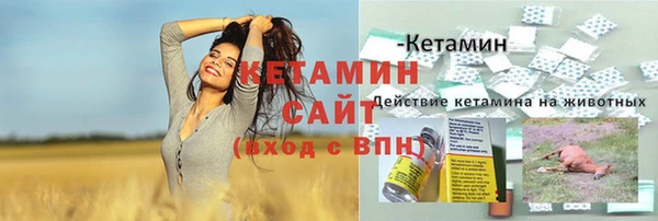 дмт Аркадак