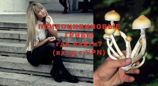 дмт Аркадак