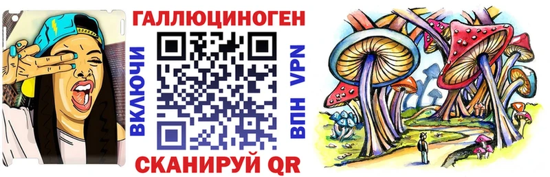 наркотики  Тавда  Галлюциногенные грибы Psilocybe 